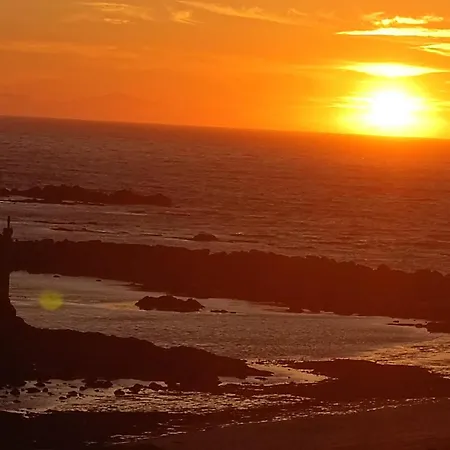 Cachinnans & Hostel *