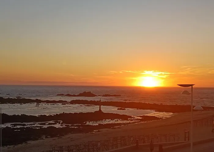 Cachinnans & Vila do Conde