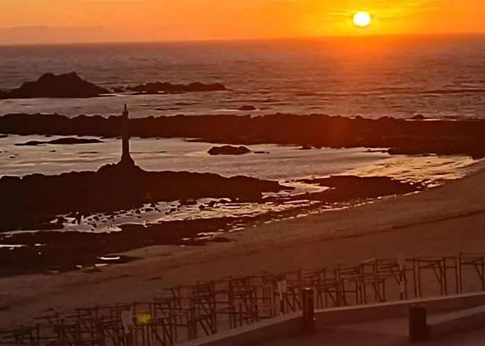 Cachinnans & Vila do Conde