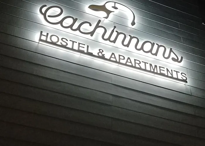 Cachinnans & Hostel