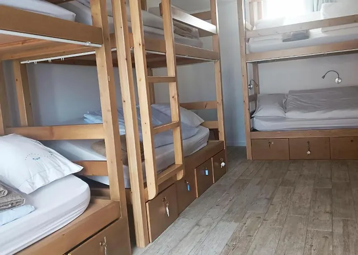 Cachinnans & Hostel *