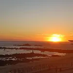 Cachinnans & Vila do Conde