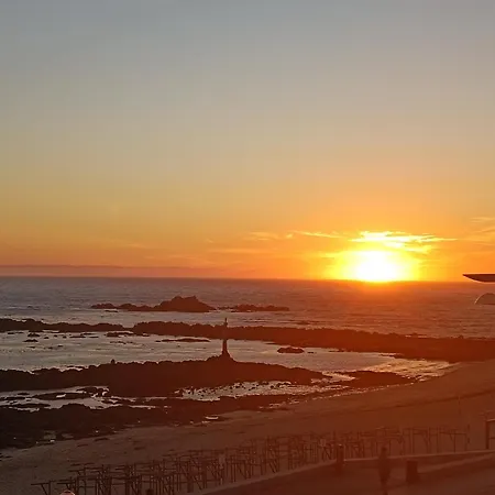 Cachinnans & Vila do Conde