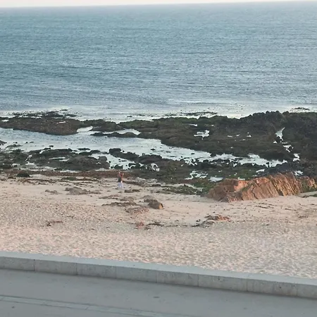 אכסניה Cachinnans &