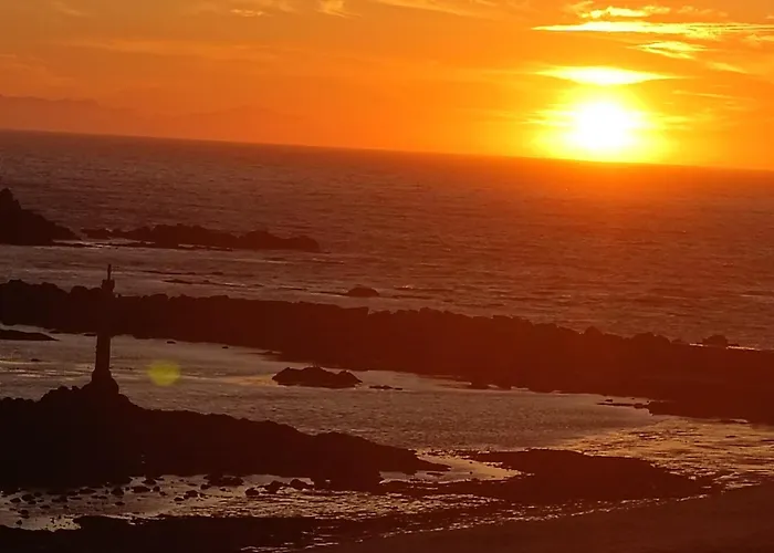 Cachinnans & אכסניה *