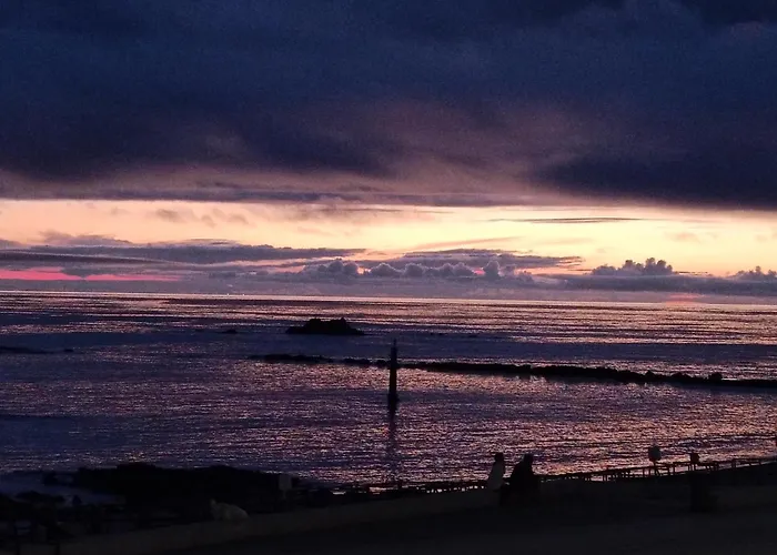 ホステル Cachinnans &