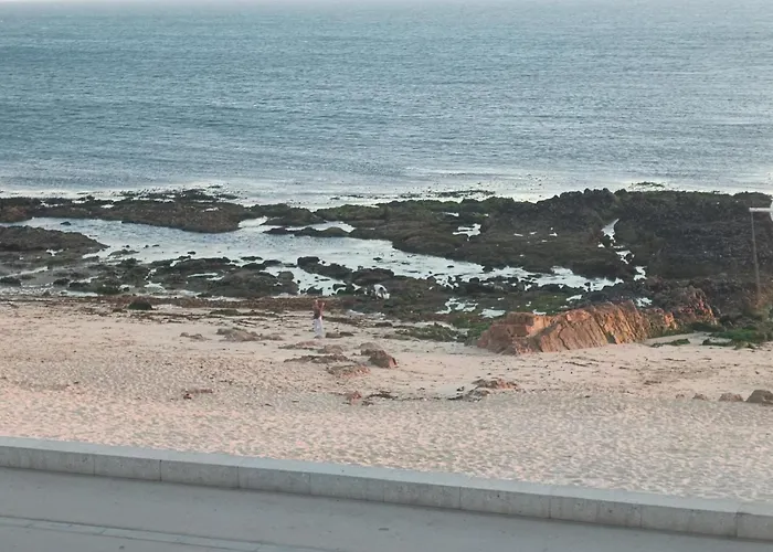 אכסניה Cachinnans &