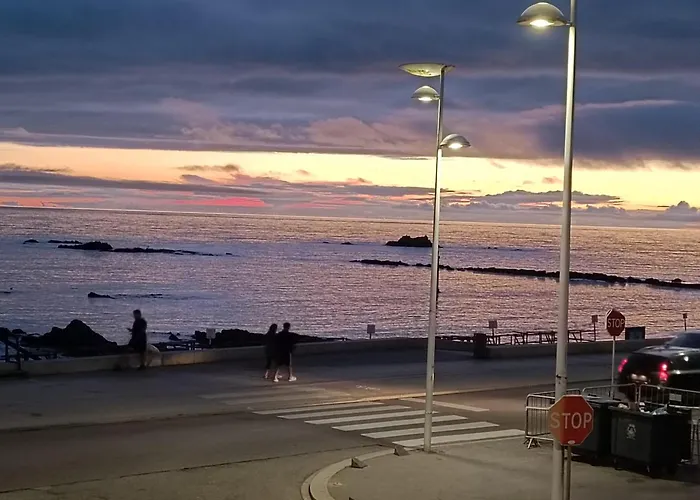 Cachinnans & * ヴィラ・ド・コンデ